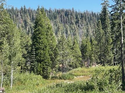 000 Bucks Lake Road, Bucks Lake, CA 95971 Photo