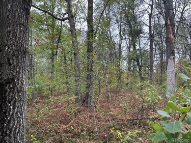 10 Acres W 6 Mile Rd, Beaver Creek Twp, MI 48738