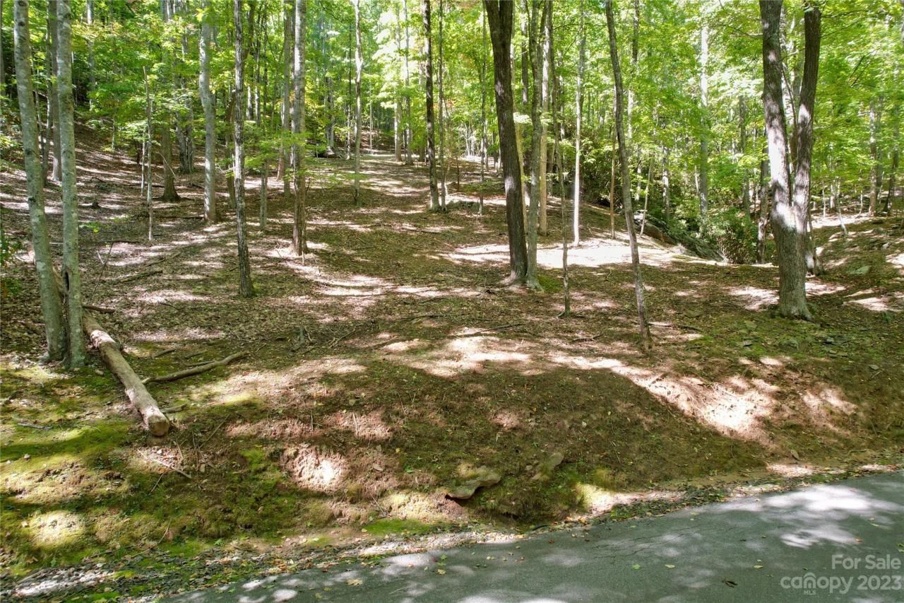 9999 Celo Heights Way, Burnsville, NC 28714 Main Photo