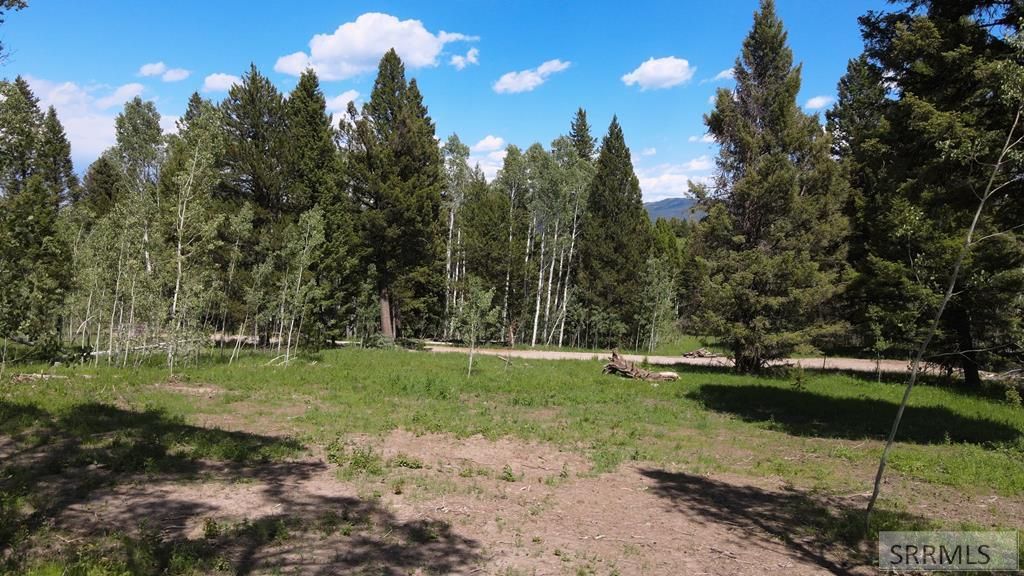 4920 Alpenglow Way, Island Park, ID 83429 Main Photo
