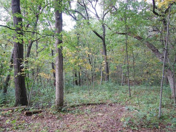17.63 Acres Biglow Hill Road, Avoca, WI 53506