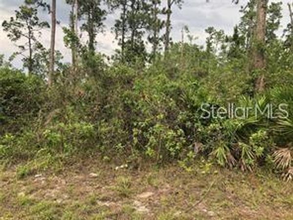 20581 NW 246TH STREET, OKEECHOBEE, FL 34972