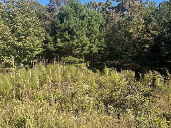 Lot 103 Oak Point Drive Drive, Lexington, TN 38351