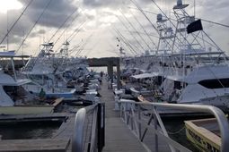 1880 Andell Bluff Boulevard photo 4