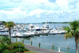 1880 Andell Bluff Boulevard photo 4