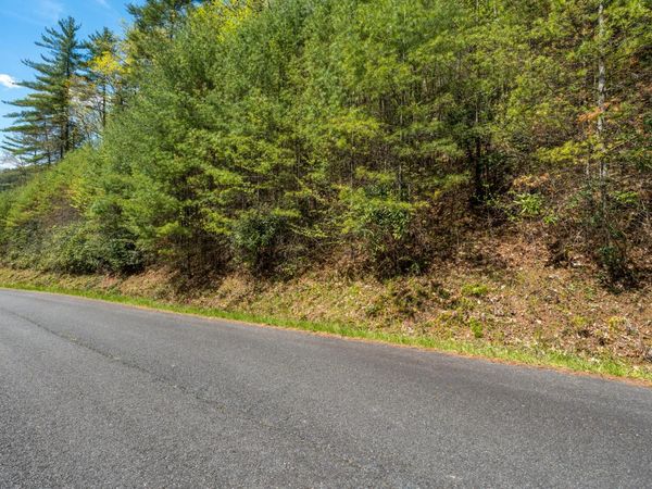 Lot 9 Callalantee Drive, Mountain City, TN 37683
