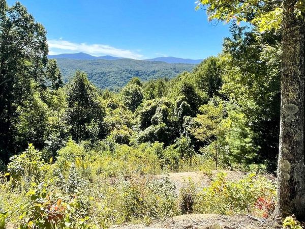804 Vista Road, Unit Lot 4, Butler, TN 37640