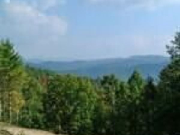 804 Vista Road, Unit Lot 4, Butler, TN 37640