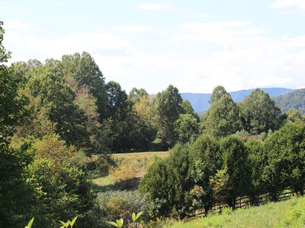 Lot #49 Redbud Circle, Butler, TN 37640