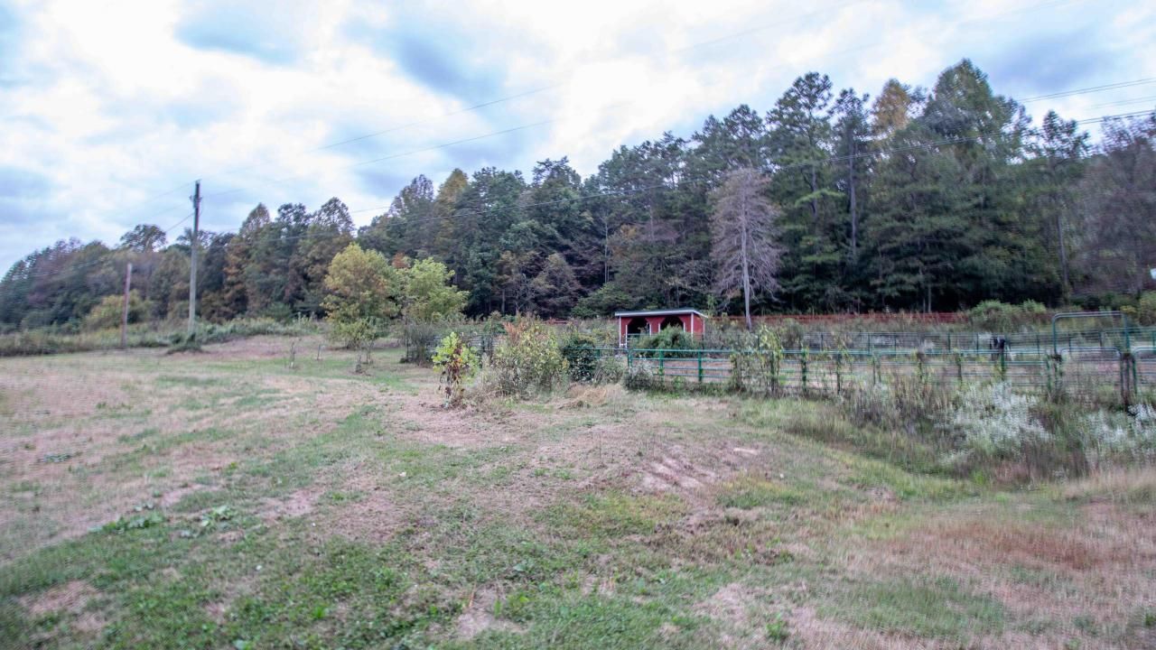 377 Butcher Valley Road, Rogersville, TN 37857 Main Photo