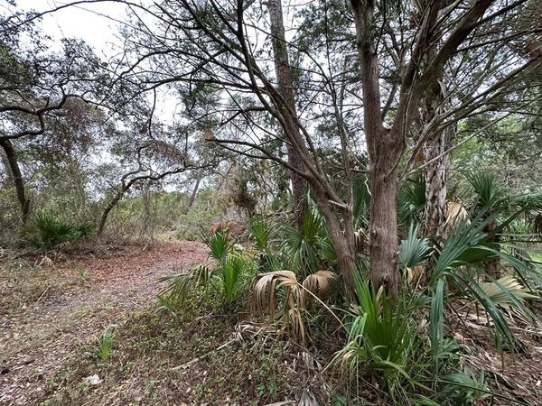 5 Lots Ingleside Pl, Cedar Key, FL 32625