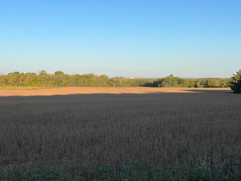 0 Old Tarlton Pike, Circleville, OH 43113 Photo 3