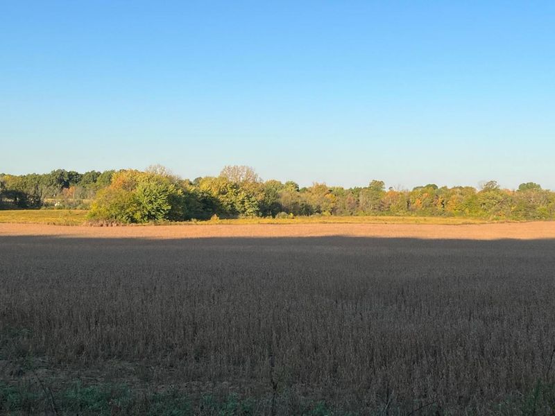 0 Old Tarlton Pike, Circleville, OH 43113 Photo 4