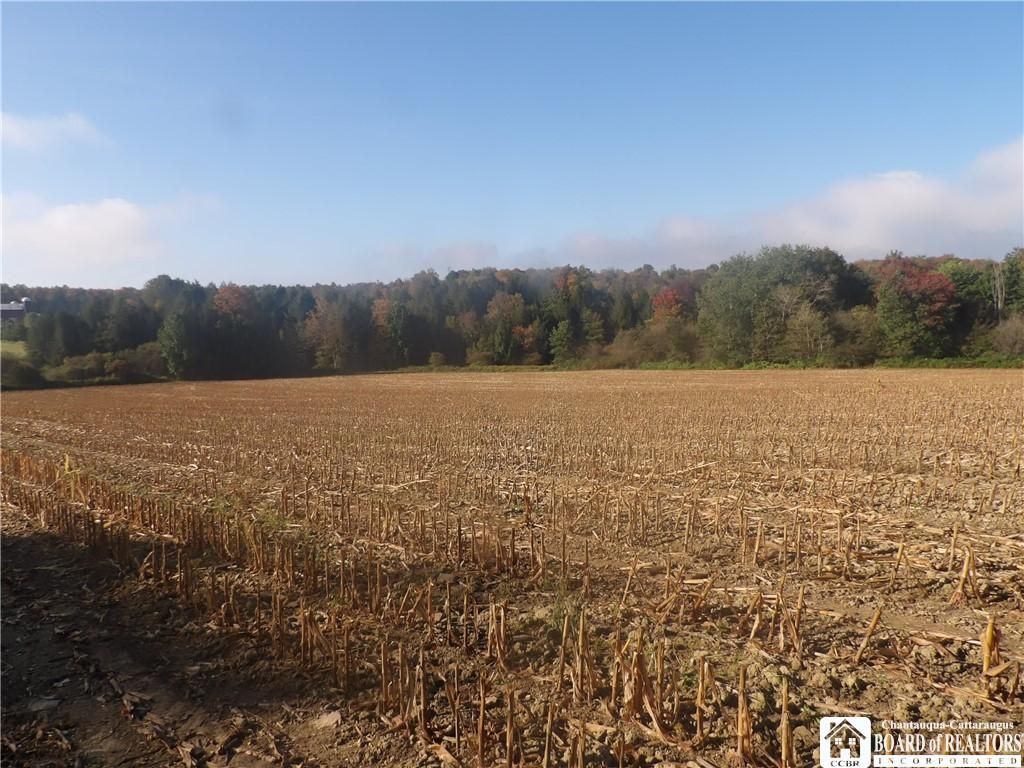 0 Cabbage Hill Rd, Clymer, NY 14724 Main Photo