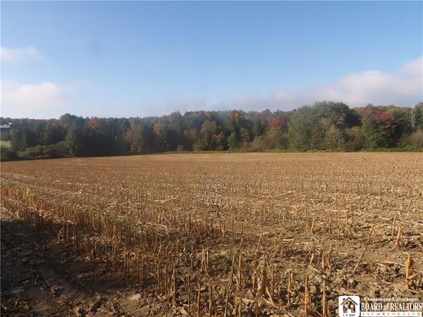 0 Cabbage Hill Rd, Clymer, NY 14724