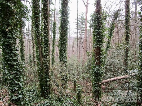 Lot #22 Toxaway Falls Drive, Lake Toxaway, NC 28747