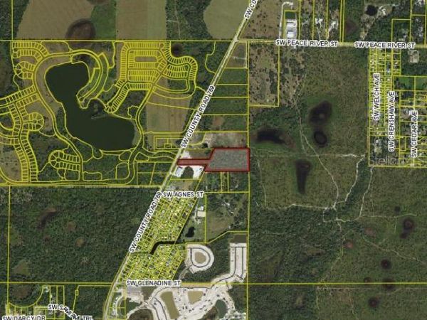 SW CO ROAD 769, ARCADIA, FL 34269
