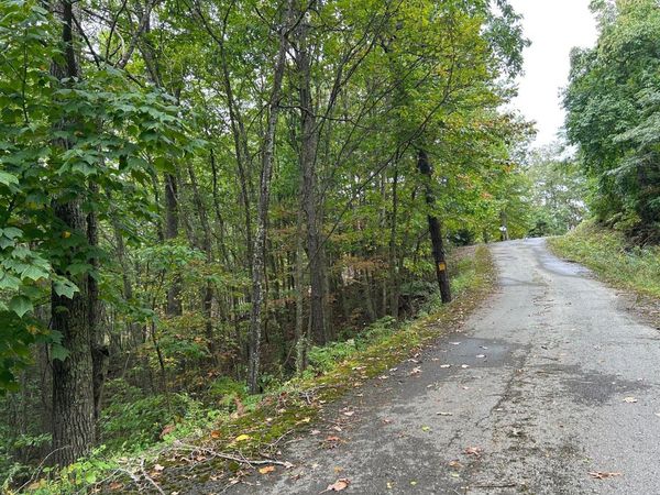 Lot 33 Laurel Lane, The Retreat, Caldwell, WV 24925