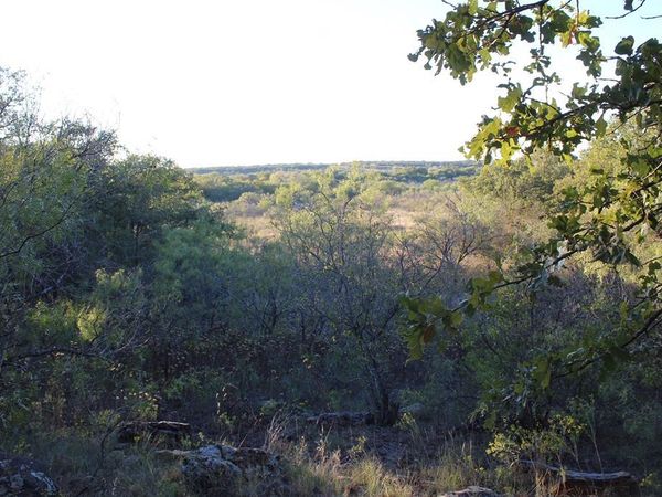000 Eureka School Road, Nocona, TX 76255