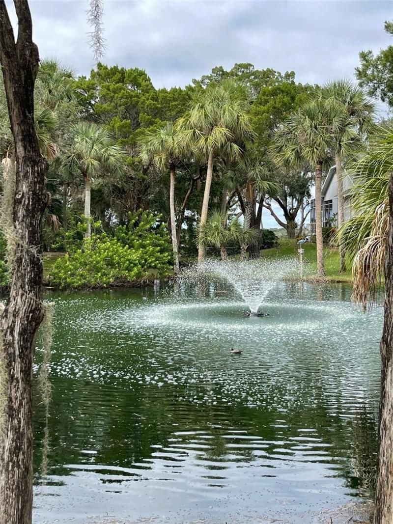 12214 W Restview Court, Homosassa, FL 34448 Photo