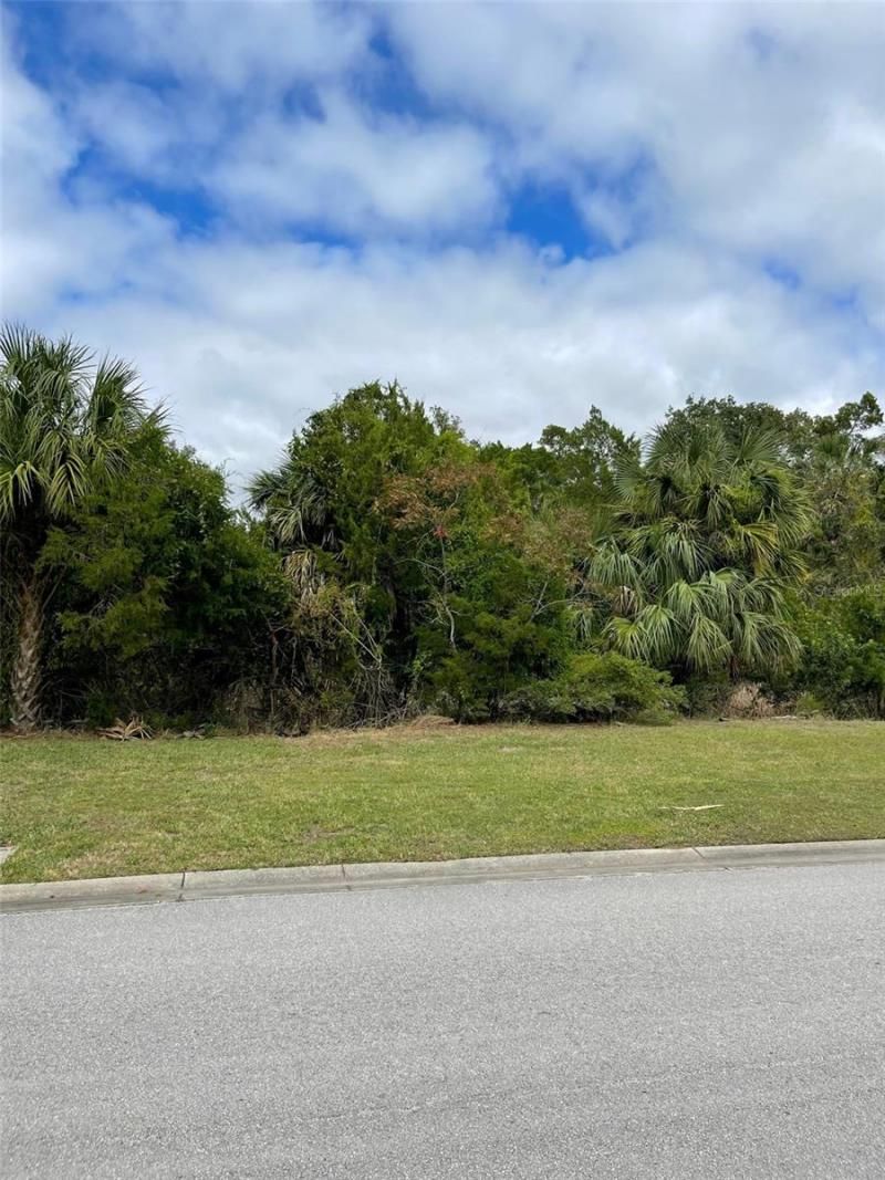 12214 W Restview Court, Homosassa, FL 34448 Photo