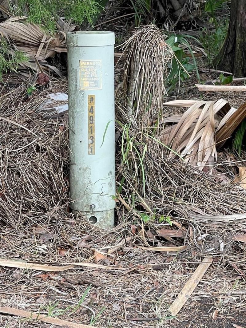 12214 W Restview Court, Homosassa, FL 34448 Photo