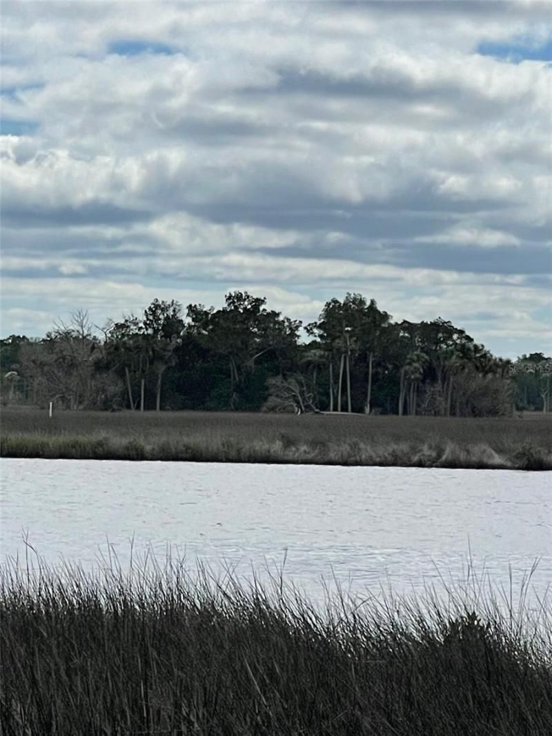 12214 W Restview Court, Homosassa, FL 34448 Photo