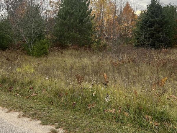 LOT 17 Sherry Lynn Drive, Engadine, MI 49868