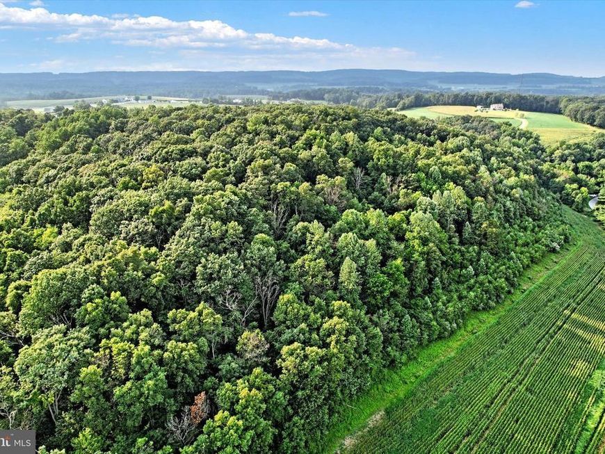 Falls Road, Manchester, MD 21102 Main Photo