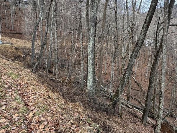 554 Flame Azalea Lane, Mars Hill, NC 28754