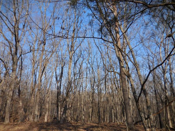 133 Greenbrier Loop, Crossville, TN 38558