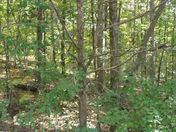 0 goodwin rd./ walker brow ridge Road, Cleveland, TN 37312