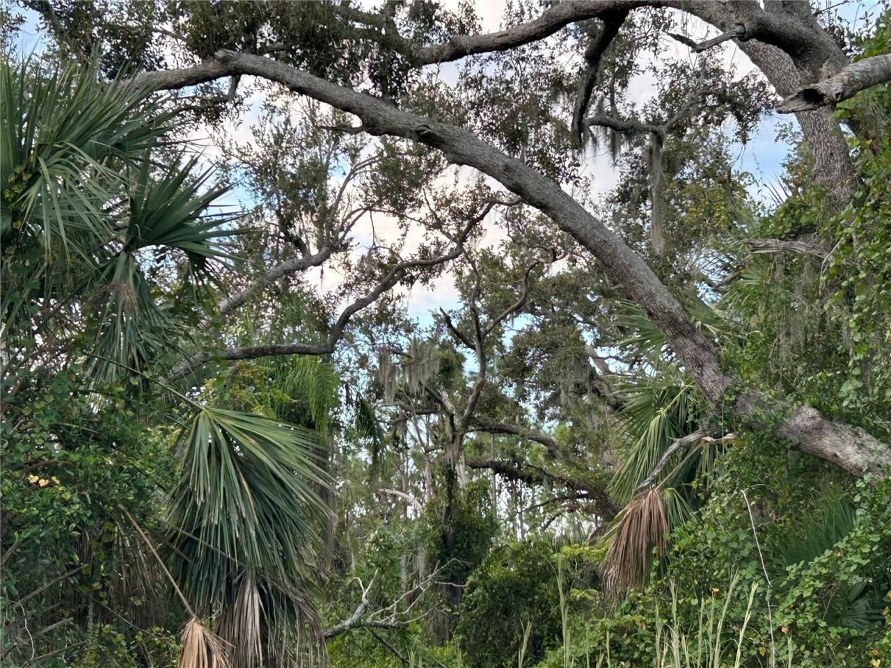 29431 Nottingham Road, Punta Gorda, FL 33982 Photo