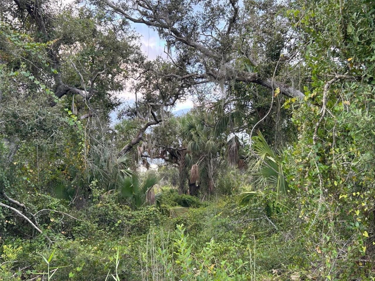 29431 Nottingham Road, Punta Gorda, FL 33982 Photo