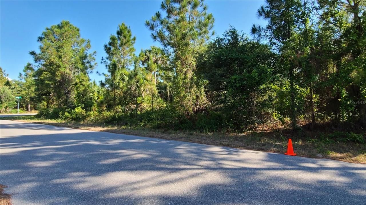 Patience Ave, North Port, FL 34288 Photo