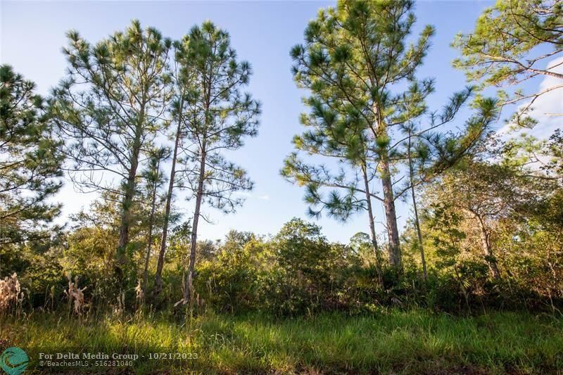 754 American Street, Lake Placid, FL 33852 Photo