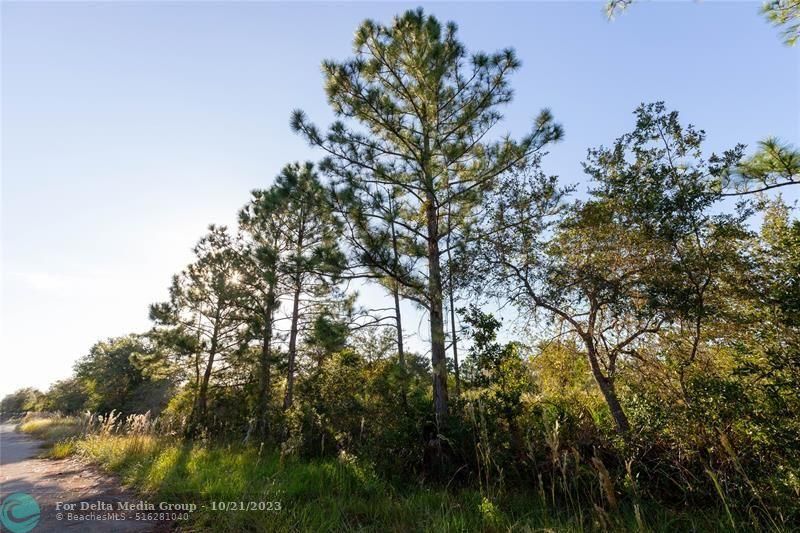 754 American Street, Lake Placid, FL 33852 Photo