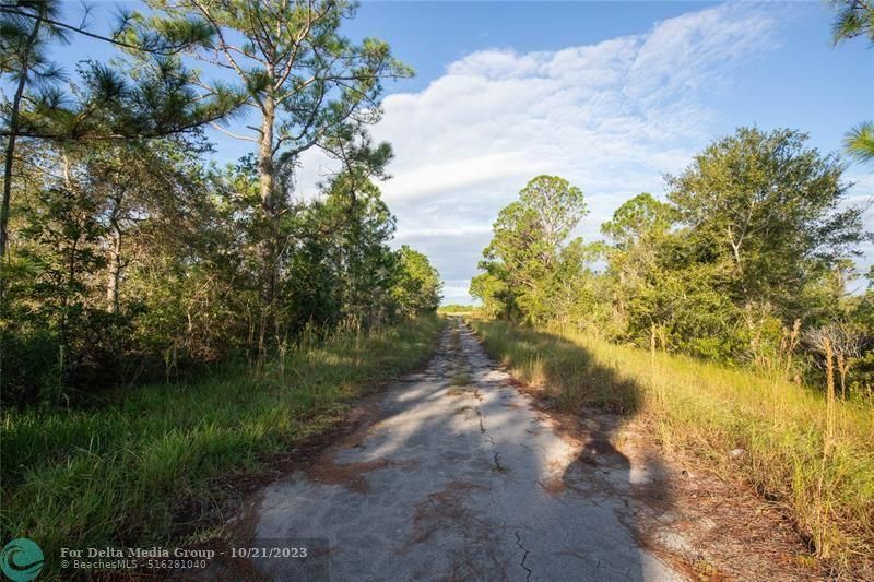 754 American Street, Lake Placid, FL 33852 Photo
