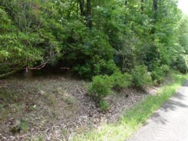 Lot 17 Mountain View Drive, Lowgap, NC 27024