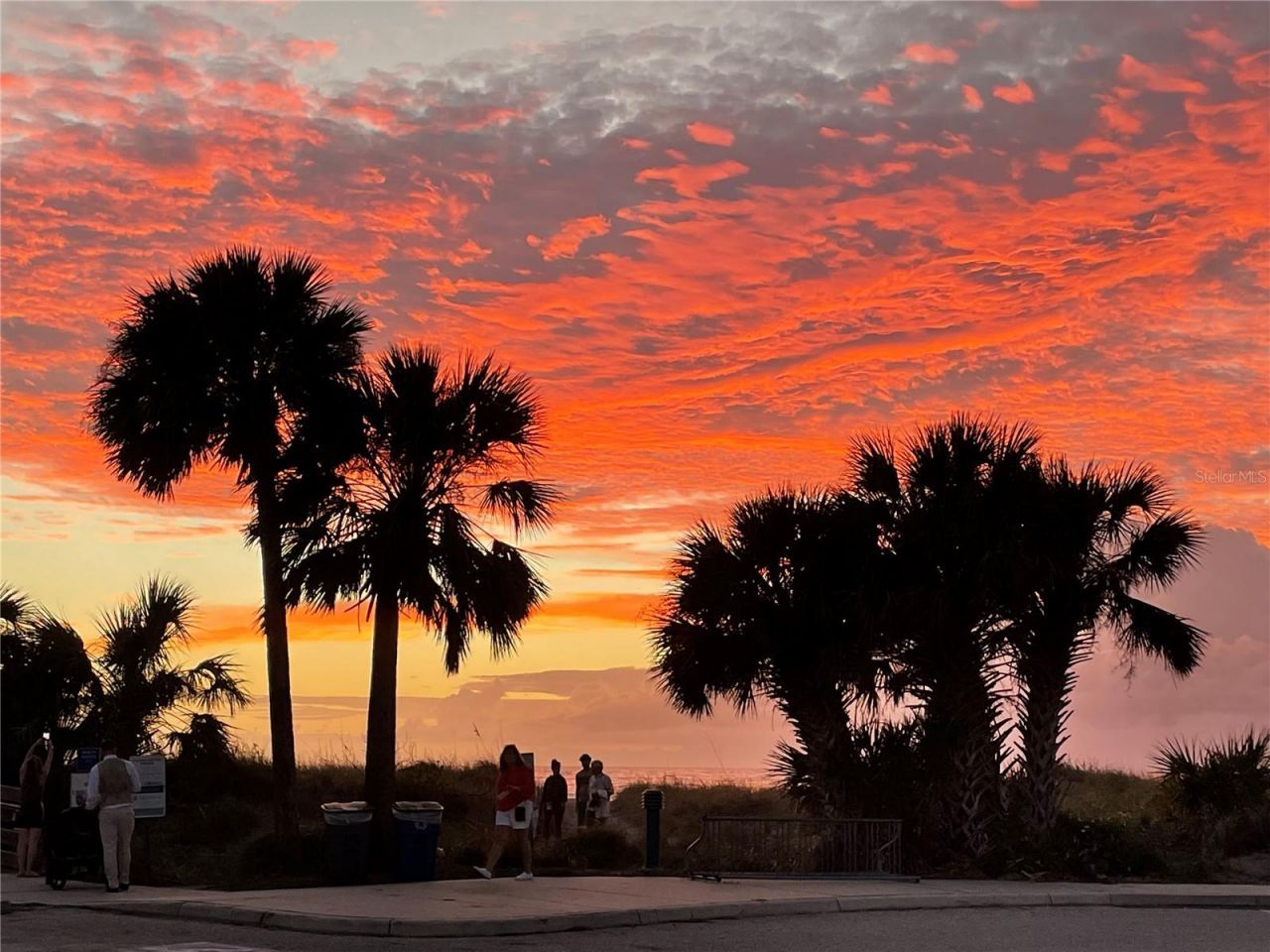 425 Cerromar Terrace, Unit 359, Venice, FL 34293 Photo