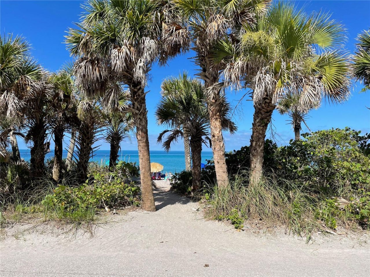 425 Cerromar Terrace, Unit 359, Venice, FL 34293 Photo