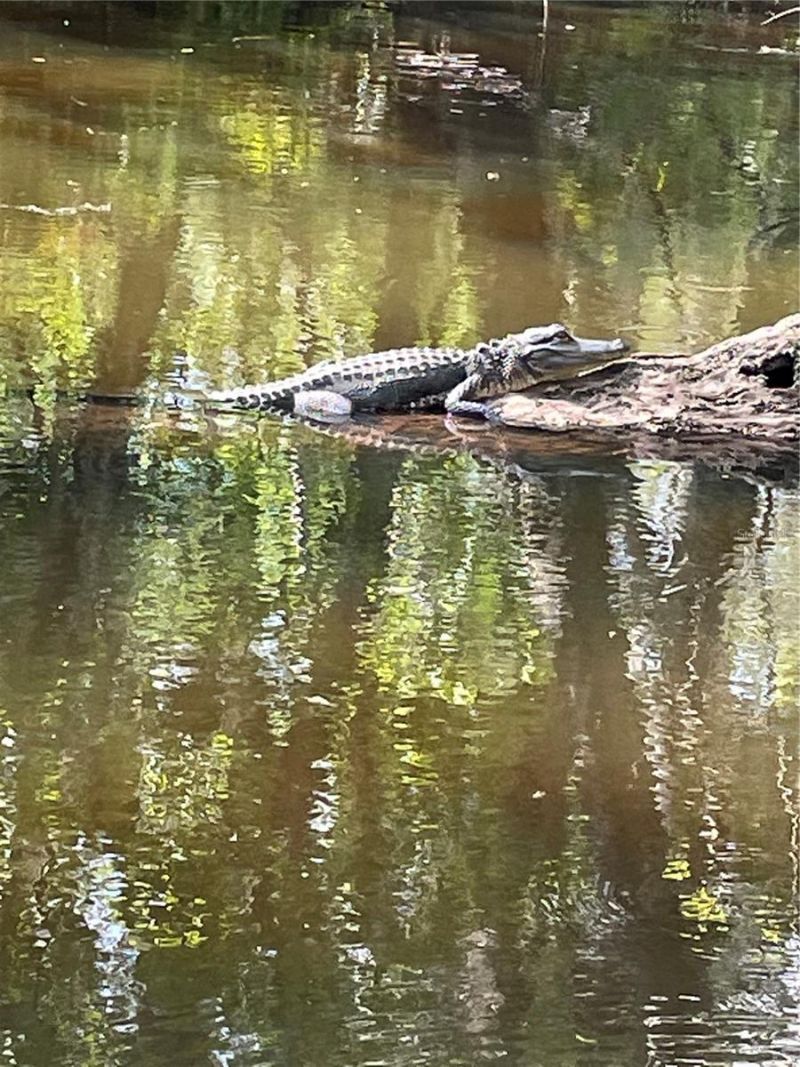 425 Cerromar Terrace, Unit 359, Venice, FL 34293 Photo