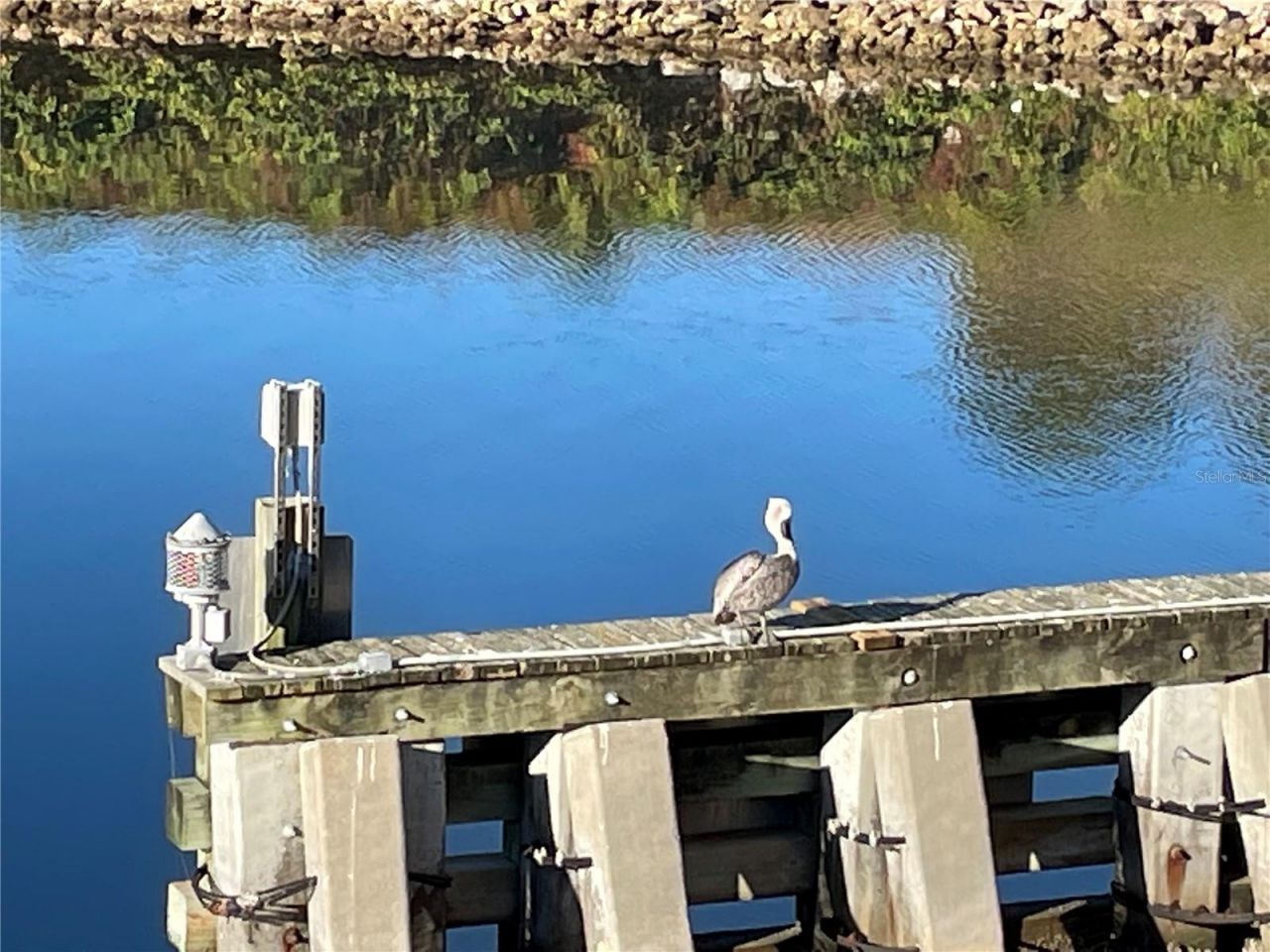 425 Cerromar Terrace, Unit 359, Venice, FL 34293 Photo