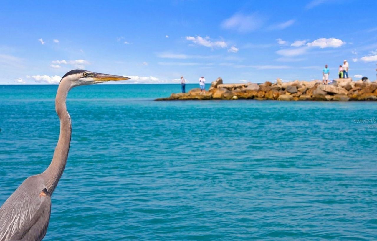 425 Cerromar Terrace, Unit 359, Venice, FL 34293 Photo