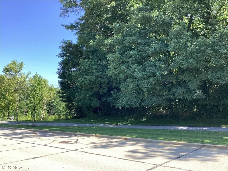 Som Center Road, Mayfield Village, OH 44143 Photo 11