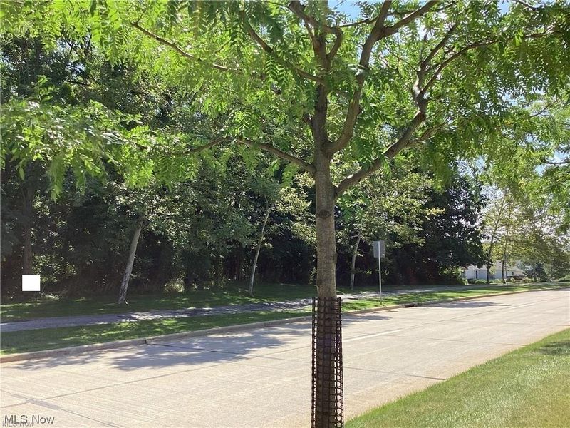 Som Center Road, Mayfield Village, OH 44143 Photo 9