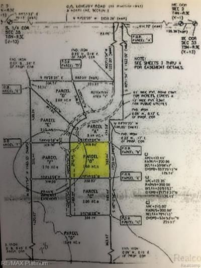 Parcel B Turkey Trail, Conway Township, MI 48418 Main Photo