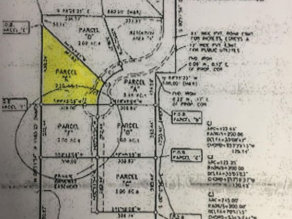 Parcel E Turkey Trail, Conway Township, Mi 48418