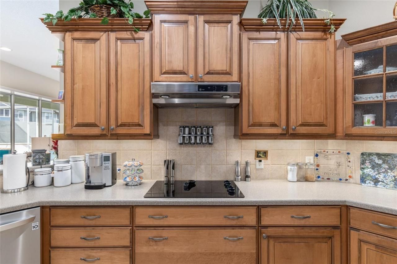 3051 SW 41st Place, Ocala, FL 34474 Photo