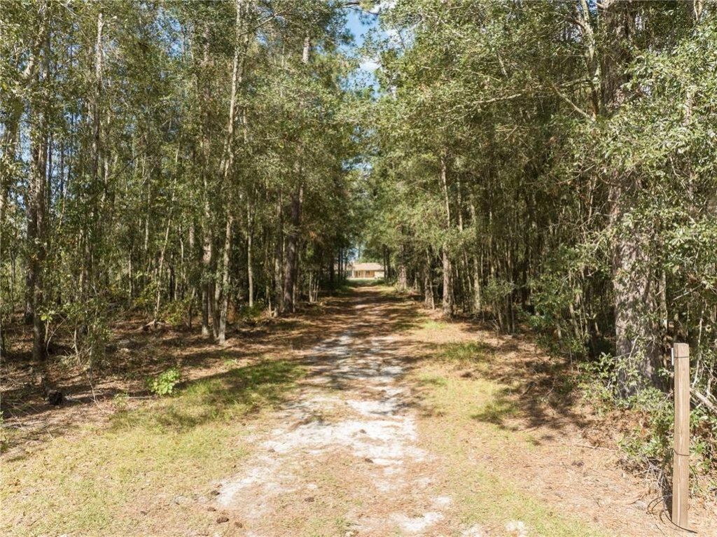 3897 SW Pinemount Road, Lake City, FL 32024 Photo